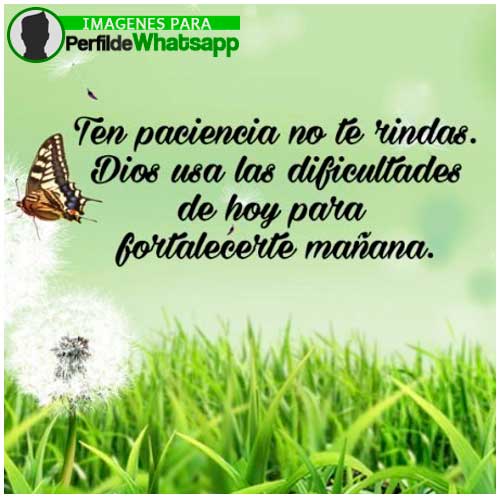 Lea y comparta el Devocional diario Reflexiones para vos:   "SOLO DIOS SABE EL SENTIR DE LOS CORAZONES" 
acortar.link/5PCoJX
Dele Me Gusta a la página Reflexiones para Vos en Facebook
facebook.com/reflexionespar…
#ReflexionesParaVos #DiosTeAmaMucho