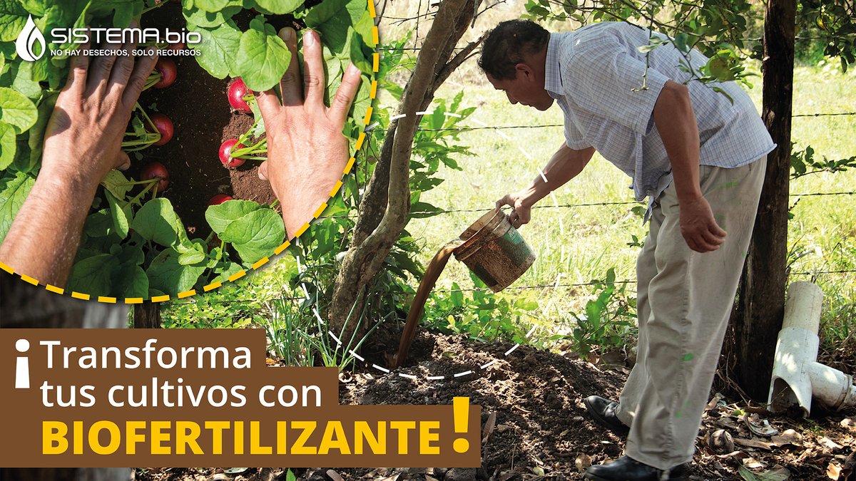 ¡No gastes más en fertilizantes químicos! Aprovecha los desechos de tu granja para producir biofertilizante. #CreandoValorDelDesecho