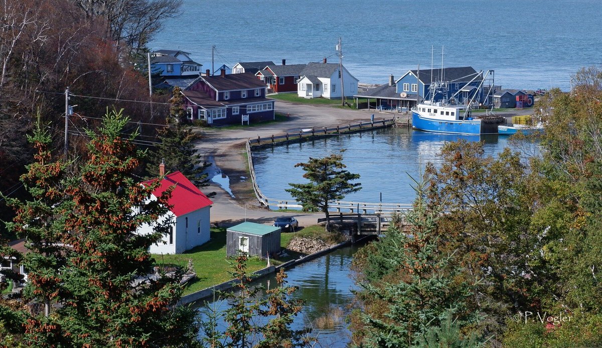 Fundy Textile tweet media