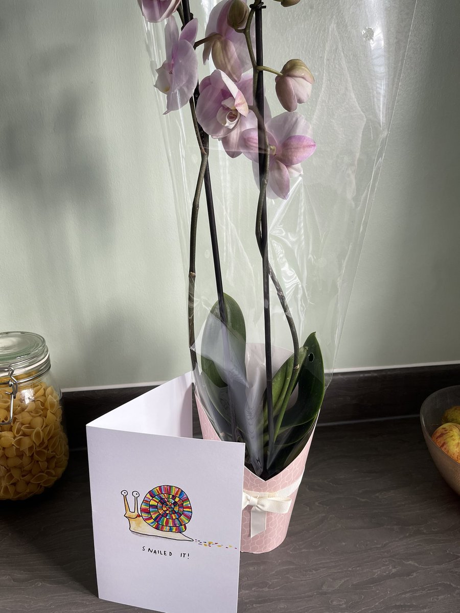 Meryl_PUNC21's tweet photo. When your assessor arrives at your door with these as you haven’t seen her for nearly 2 weeks due to COVID 😭 

Can I PLEASE keep her for the rest of my degree!?🥰 

#PUNC21 #PUNCPlacement #1styear https://t.co/NgIsj7Le5x