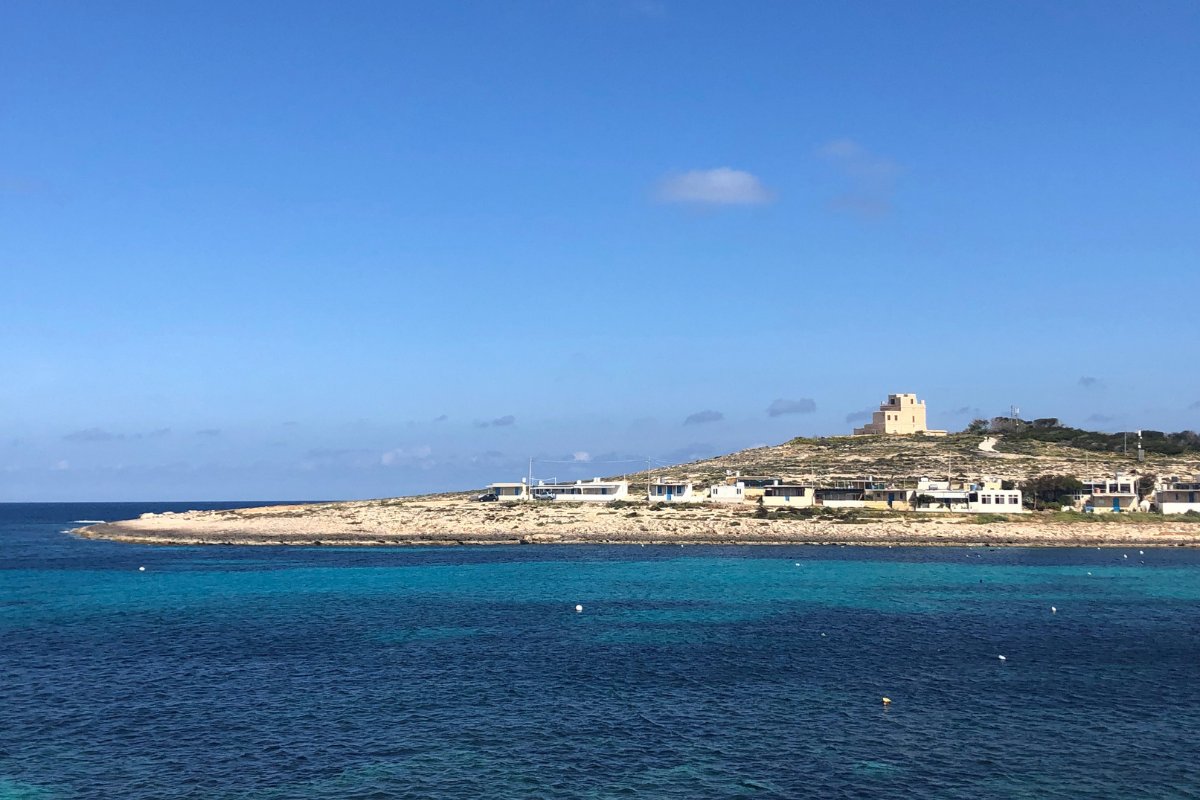 Falko_BirdLifeM's tweet photo. Join us for an informative evening at It-Torri I-Abjad for a tour of the 17th Century historical tower by @DinLArtHelwa as well as a talk on #lightpollution &amp; the threats faced by #YelkouanShearwaters by a member of our @MaltaSeabirds team. Book here: https://t.co/lZFS1iNRMK. https://t.co/iESIxlpo5z