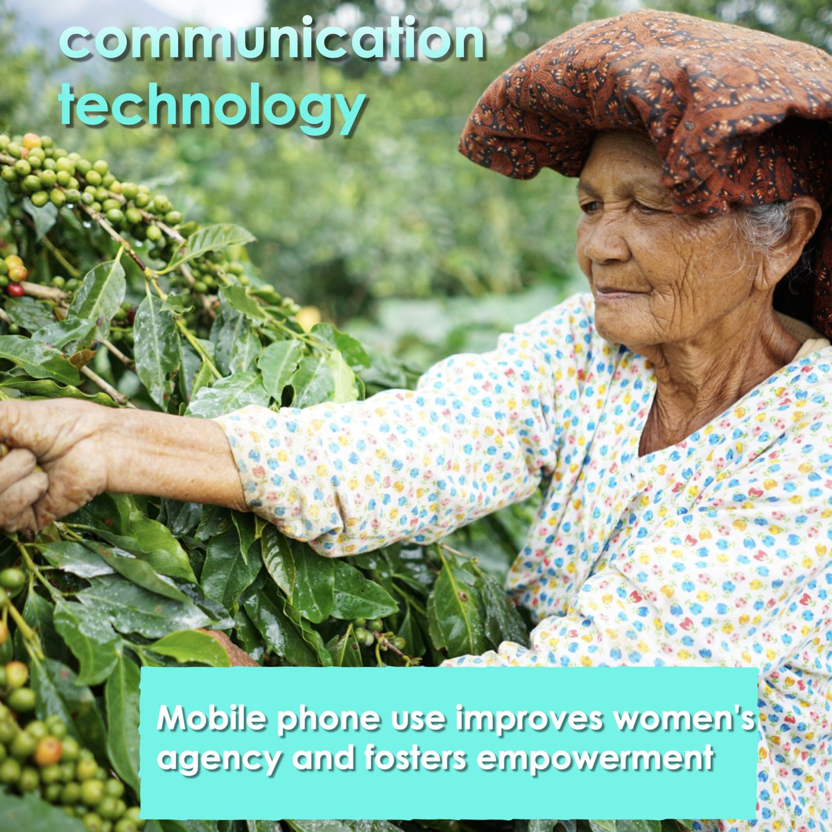 CoffeeSnob_'s tweet photo. Increasing use of mobile phones in rural areas of low-income countries can have a positive impact on broader social A clear link exists between the use of mobile phones and farm-level economic #WomensHistoryMonth #womenempowerment #CoffeeTime #Labor https://t.co/VA6ThDHoX4
