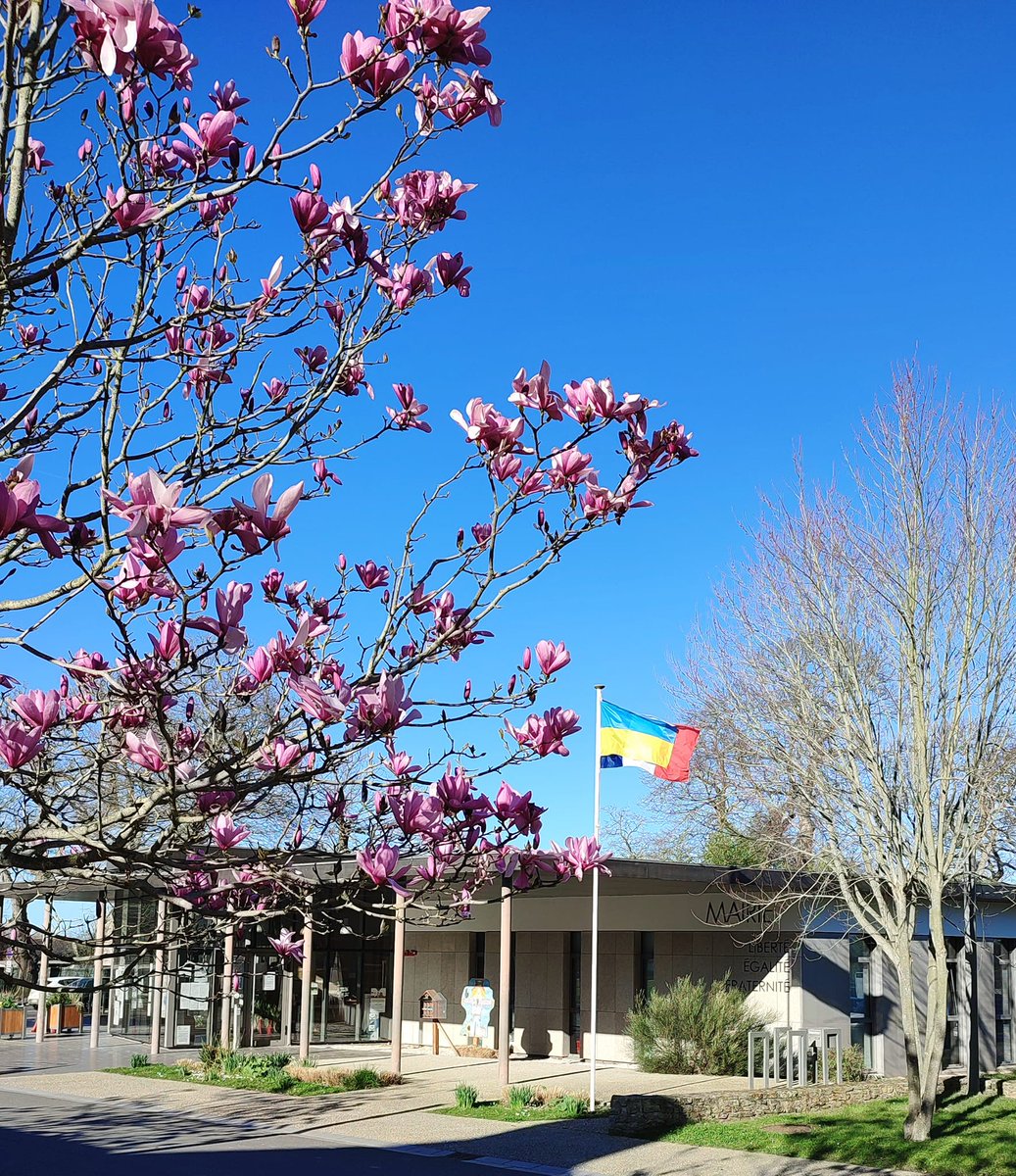 🇺🇦[SOLIDARITE AVEC L'UKRAINE] 🇺🇦✌️🤝🇫🇷
#solidarity #ukraine #france #quessoy #soka #mairie #liberté #égalité #fraternité #flag 🇺🇦 🇫🇷 #magnolia