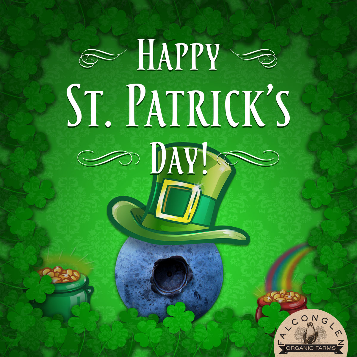 FalconglenFarms's tweet photo. Happy St. Patrick's Day!

#happystpatricksday 🍀🍀🍀
#FalconglenOrganicFarms #BCBlueberries

https://t.co/IR42RknTFo https://t.co/xvAMmpmHZe