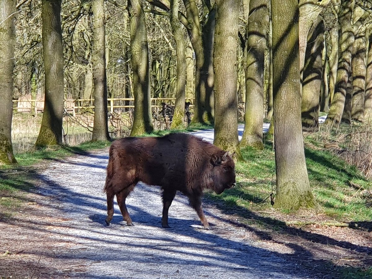 Zo heerlijk in het natuurpark 
#natuurpark#