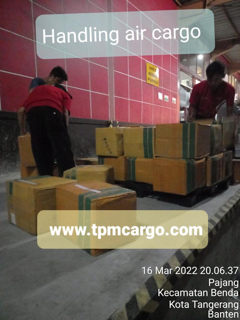 jakartatranspor's tweet photo. https://t.co/Ymvpey406u
#domesticservices
#cargoexpress https://t.co/e5dMisygUG