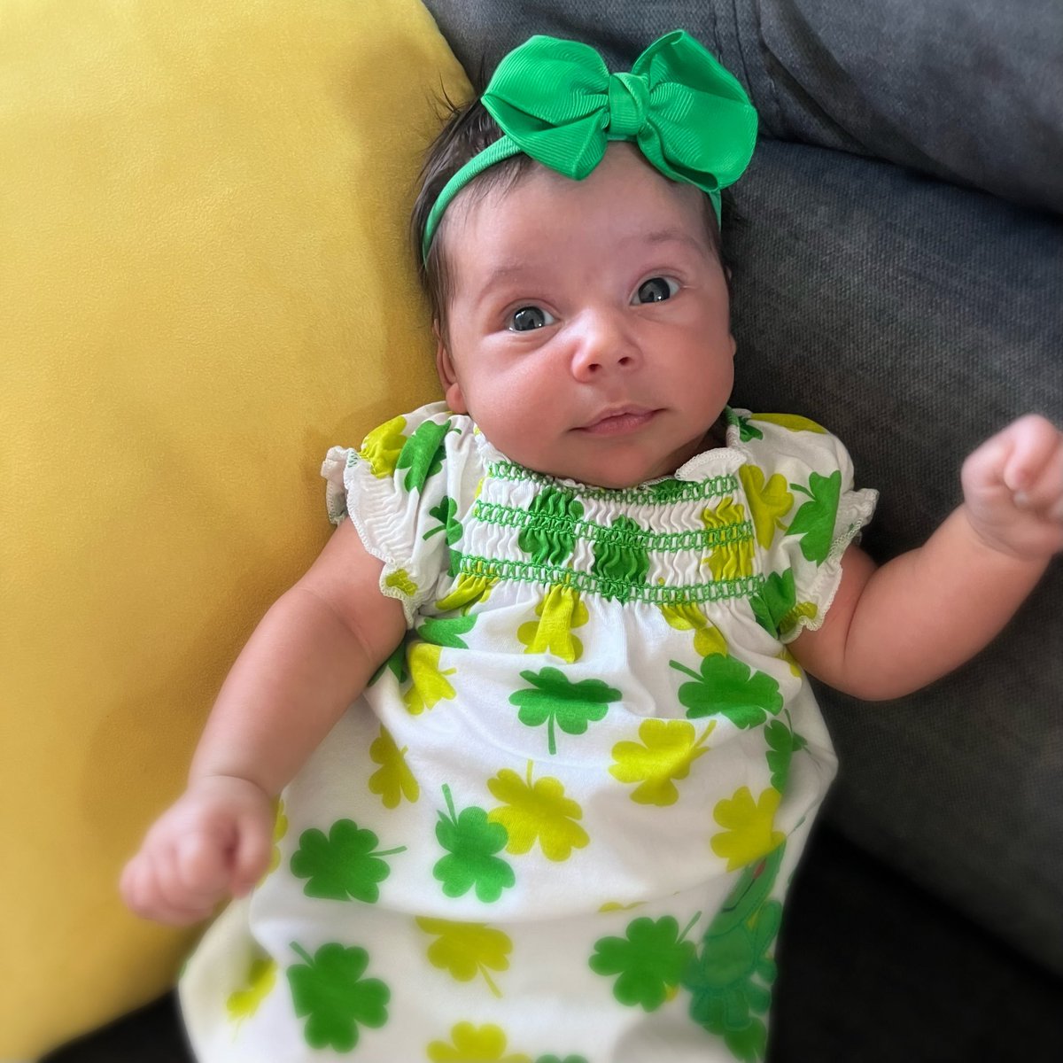 ArtsIntegratEDU's tweet photo. What a great day to be reminded of how 🍀 LUCKY 🍀 we are to have our beautiful Alora in the world! 
Thank you to Dr. Burwinkle and the entire team at Institute for Reproductive Health! 
Born: Feb 14, 2022 @Mr_Greene_Math https://t.co/Gm8bWNCkHu