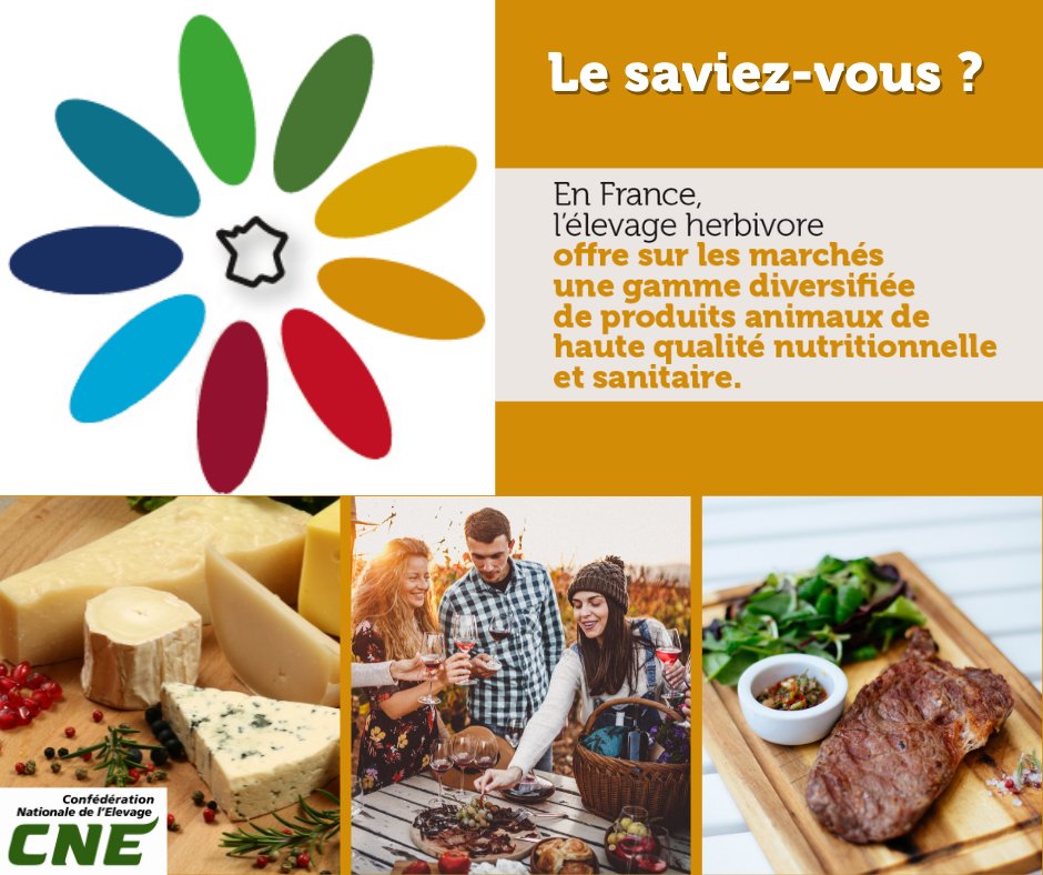 rencontre recherche ruminant 2009