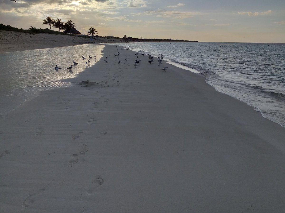 DentroLuna's tweet photo. Estoy pensando en cómo me tomarías de la mano 
mientras el tiempo corre sin prisa,
sin planes.
Allí el horizonte nos ampara
y la inmensa quietud de nosotros,
solos contra el mundo.
Me invade esta sensación tremenda 
y te vivo adentro. https://t.co/d0OtD8OHzK