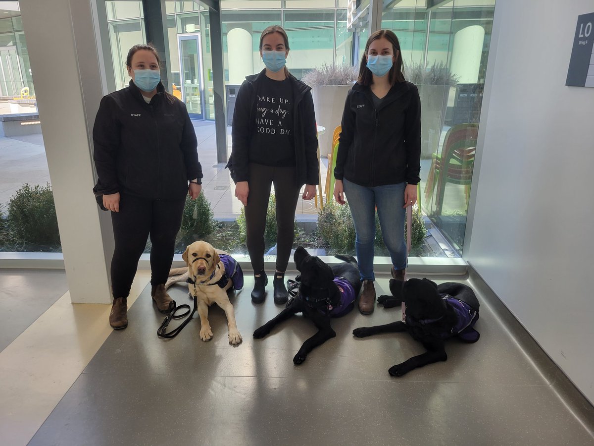 Patrick Gaskin tweet media