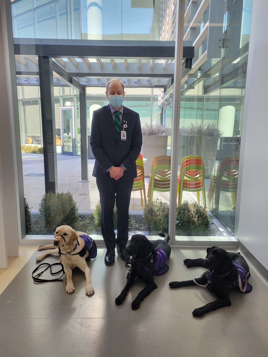 Patrick Gaskin tweet media