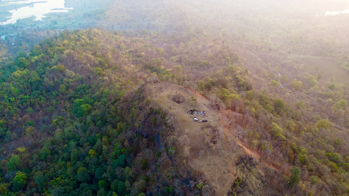 Surat Forest Circle tweet media