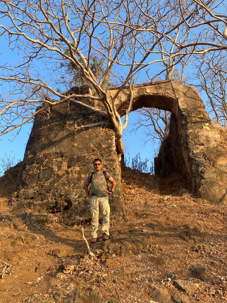 Surat Forest Circle tweet media