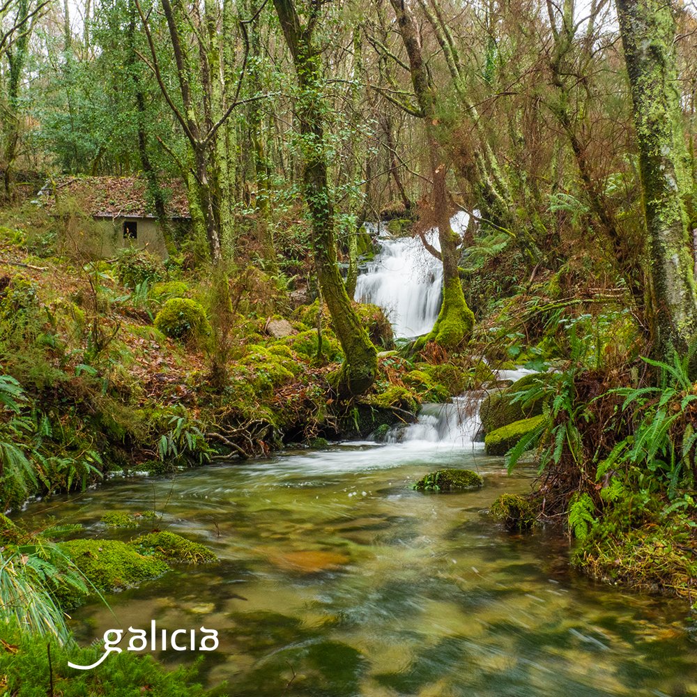 Irish hills or Galician pastures? 🇮🇪 bagpipes or 🇪🇸gaitas? #DYK NW Spain - regions like Galicia &amp; Asturias - was once inhabited by Celtic tribes often associated with Ireland? From landscape to traditions, there are more similarities than you might think!

Happy #StPatricksDay!
