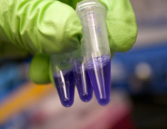AFSAcollab tweet picture