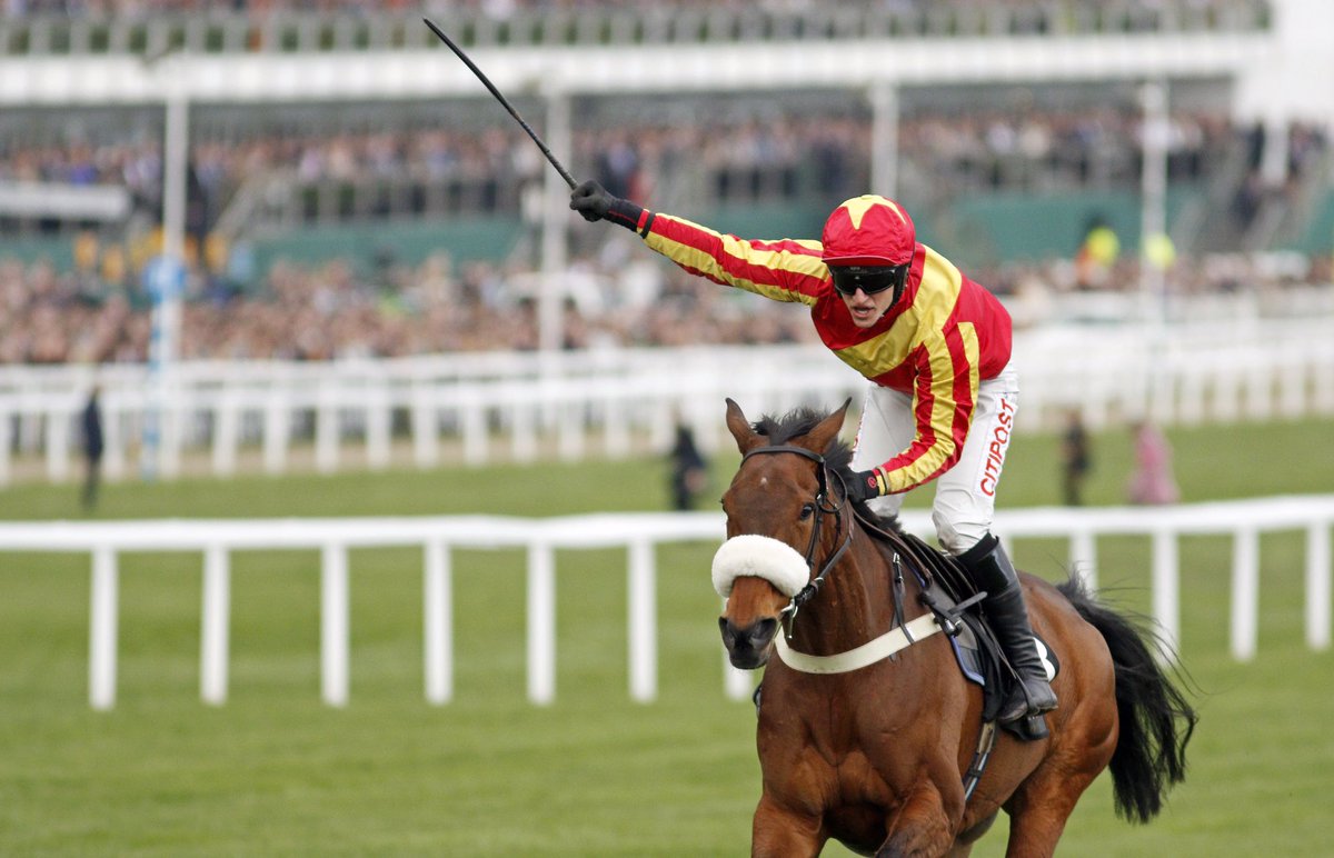 bloodstocknews's tweet photo. COOLE CODY gives @Adamkwedge his second #Festival win!

The gelding bred by Timothy Considine is a 3 time Graded winner trained by @EWilliamsRacing!

📸 @Steven_Cargill https://t.co/khWJcWM55S