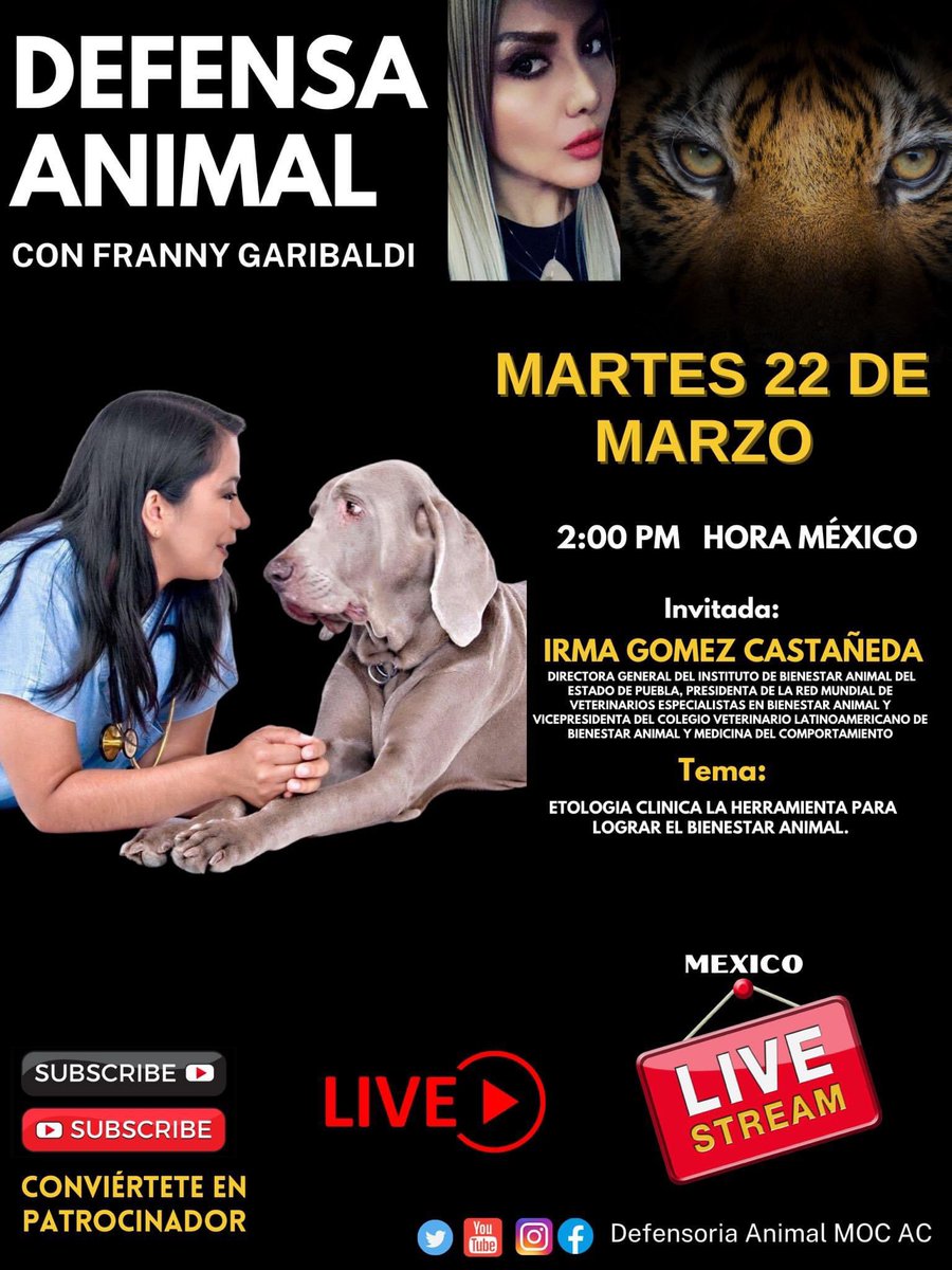 DefensoriaMOC's tweet photo. Irma Gòmez Castañeda,Presidenta de la Red Mundial de Veterinarios especialistas en Bienestar Animal y Vicepresidenta del Colegio Veterinario latinoamericano de Bienestar Animal y Medicina del comportamiento. #tema
ETOLOGIA CLINICA LA HERRAMIENTA PARA LOGRAR EL BIENESTAR ANIMAL. https://t.co/2fVgSEzNDv