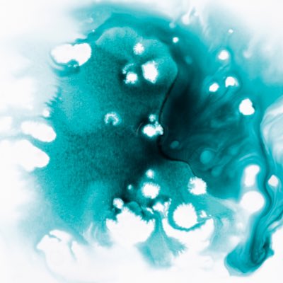 Mercedes Herrán tweet media