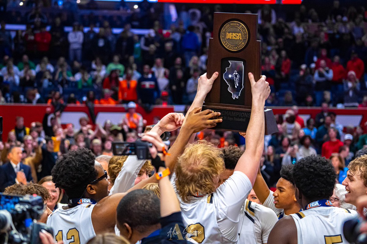 Alix Sheree tweet media