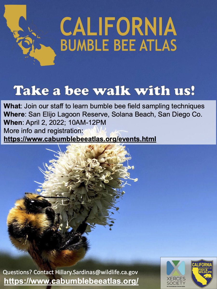 California Bumble Bee Atlas: What Citizens Found on a UC Davis