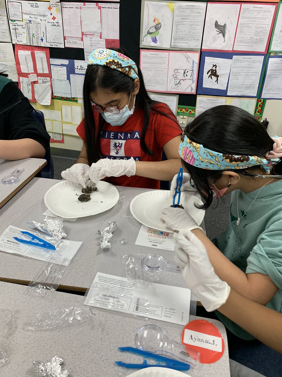 Eagles5th's tweet photo. #camponcampus @pisdoutdoor dissecting owl pellets! https://t.co/rVbO5DVl8C