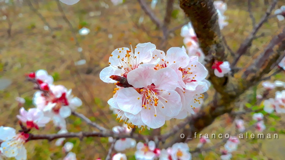 Suddenly 
I wanted
to stand in front of it.
I wanted to trace over
and over the weave of
my own country and read out
names I was next to forgetting.

Eavan Boland

#poetry #photography