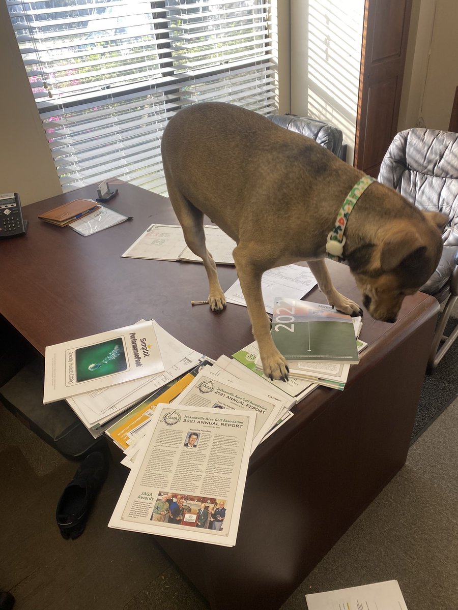 Shannon Wheeler tweet media