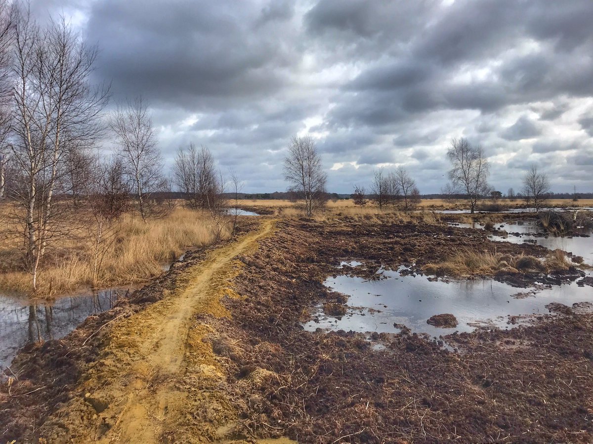 Mooie luchten boven het Wierdenseveld!
.
#wierdenseveld #nijverdal <a href="/BekiekTwente/">Bekiek Twente</a> 
#twente <a href="/LandschapOV/">Landschap Overijssel</a> @denatuurin_nl @natuuronline <a href="/volgdenatuur/">volg de natuur</a> <a href="/LandschappenNL/">LandschappenNL</a> 
<a href="/mooieluchten/">mooieluchten</a> #p900 #landschapsfotografie #intveldmetintveld #intveld