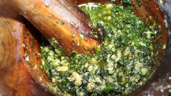 Vines & Branches Greenport tweet media