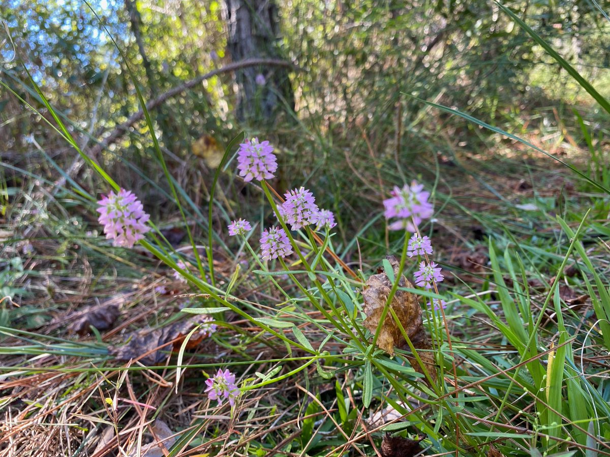 Who else is enjoying this Spring weather? ☀️🌸