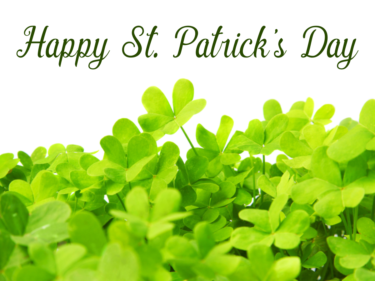 KaseLongRealtor's tweet photo. Cheers to a happy #StPatricksDay! #celebrate https://t.co/JCEqnhYl4N
