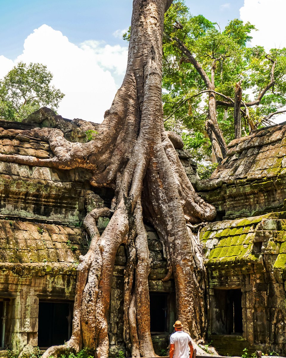 Angkor Wat, la octava maravilla del mundo.
Cualquier objetivo que se te pueda ocurrir para definir los templos hinduistas del Imperio Jemer, con los árboles milenarios,se quedará corto. 

De esos lugares mágicos que se quedan en la retina toda la vida.

📷 #a6300 de <a href="/SonyEspana/">Sony España</a>