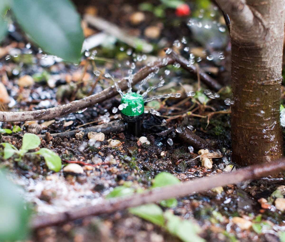 🌧️ Benvinguda pluja! ☔️

A la <a href="/uvic_ucc/">UVic-UCC</a> també ens agrada que plogui 😊 així s'emplenen les cisternes i aprofitem l'aigua de pluja per regar les zones verdes ✌️😚✌️

#entornnatural #sostenibilitat #ecodijous