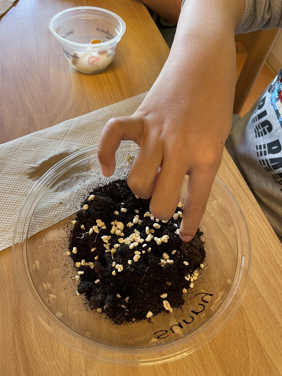 obsPortland's tweet image. Vandaag eindelijk weer talentontdekking kunnen doen nu veel maatregelen geschrapt zijn. De leerlingen genoten van muziek, koken, kunst, programmeren, natuur, techniek en bouwen. #talent #ontdekken #obsportland #andersleren #basisonderwijs