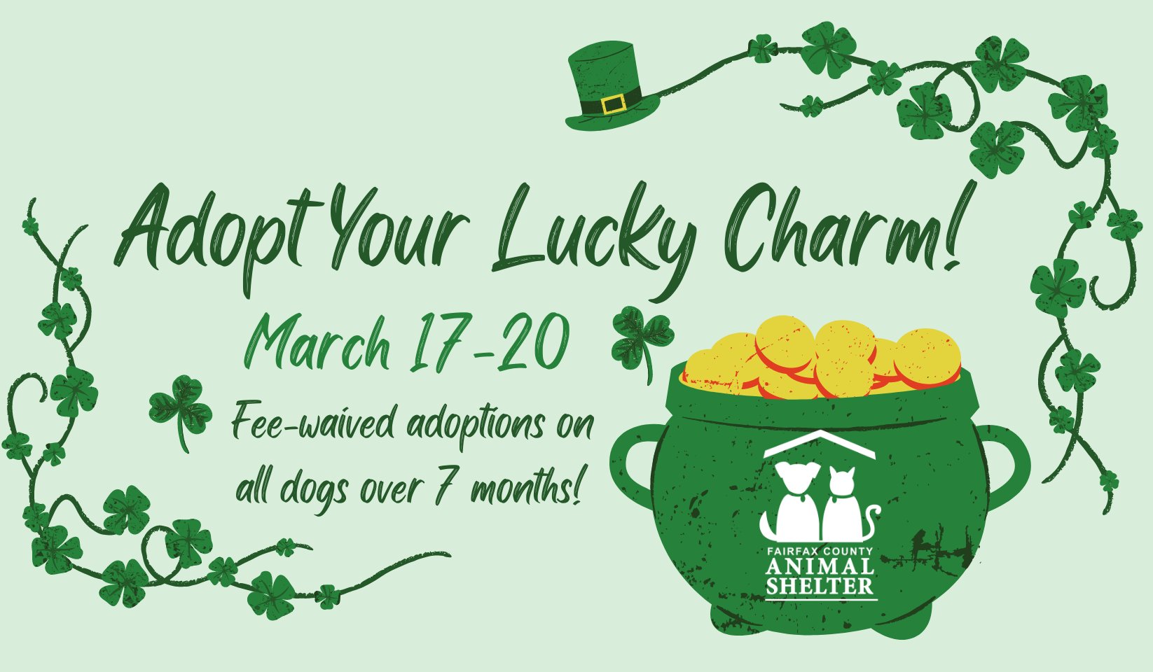 Fairfax County Government 🇺🇸 🌻 on Twitter "Adopt Your Lucky Charm! 🍀🐶