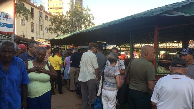 14ymedio's tweet photo. La #papa nacional es más #cara en #Cuba que la que se produce con semilla #importada👉 El precio se duplica desde los 3 pesos la libra del producto fresco a 5, y 6 si se trata de las refrigeradas https://t.co/Kon6tpLZFH https://t.co/OrM7X4QzFh