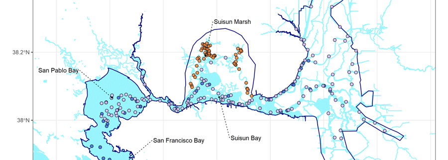 SFEWS's tweet photo. Huntsman et al. show catchability among 4 long-term fish monitoring surveys is a source of bias in the #SFEstuary. Assuming equal catchability when describing spatio-temporal patterns could result in significant bias among surveys, species, & size classes. https://t.co/opsvkPGMXH https://t.co/ArzZ7usBEs