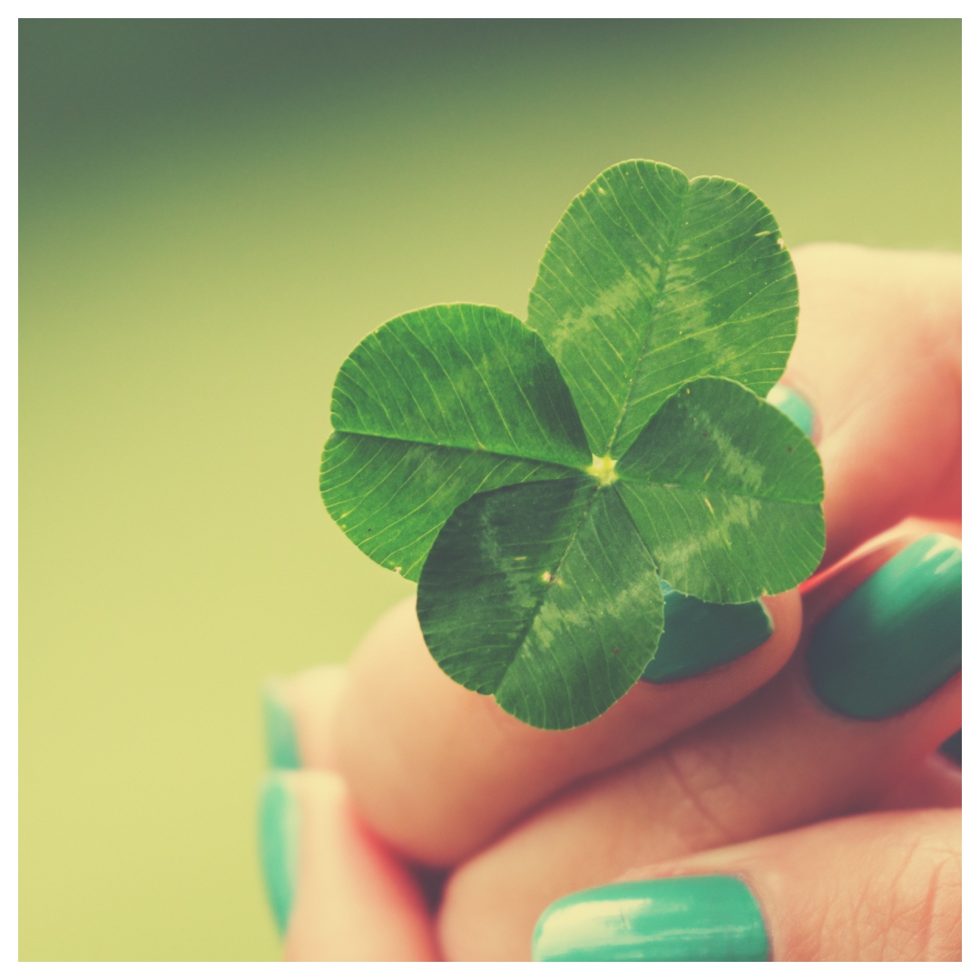 Happy St. Paddy's Day!⁠ Before broadleaf herbicide, clover served the ag industry. 100% Organic Weed &amp; Erosion Control⁠, Nutrient Runoff Protection, Cool on the Hoof, Aid Ruminant Digestion⁠, Attracts Honey Bees, Fertilizes Soil w/ N. #bestproteinpowder
l8r.it/SnR4