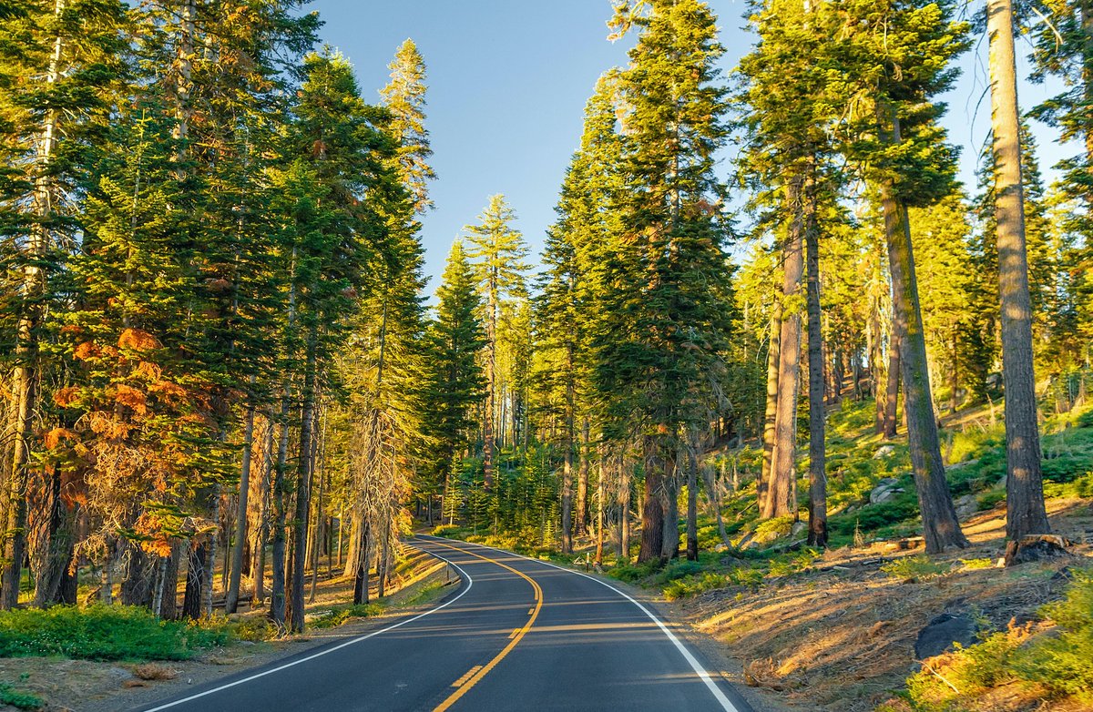 YosemiteClean's tweet photo. Thriving, healthy forests provide 
long-term carbon storage,
a variety of valuable products, 
and fuel for heat and power 
generation – while limiting the 
spread of wildfires and insect 
outbreaks. #stumptopump #cleanenergy #carbonnegative #forestmanagement #sustainability https://t.co/pq0CQP9WUB