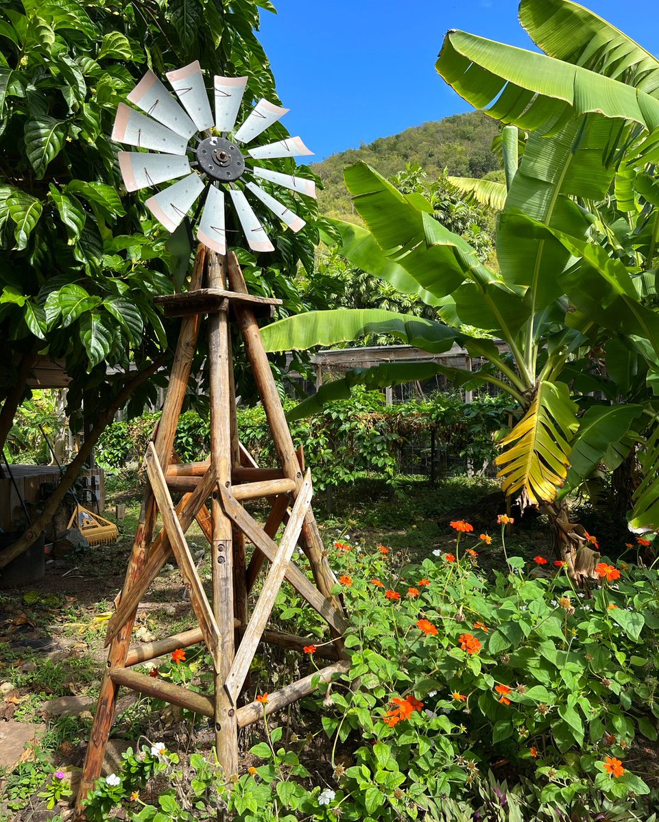 CaribbeanTrips's tweet photo. Guess what hotel takes "farm to table" to the next level by having a farm on property? 
⠀⠀⠀⠀⠀
Guana Island rounds out its private island offerings with a full-fledge farm/garden/orchard on the property. This fertile garden provides over 40 fruits, veggies, and herbs for https://t.co/uUsuRoaoA6