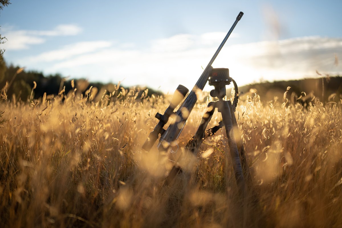 Optic_Warehouse's tweet image. Engineered for the unknown BOG aims to provide you with the best possible equipment for your hunt.

Find your BOG Shooting Rest at @Optic_Warehouse: opticswarehouse.co.uk/brands/bog

#opticswarehouse #boghunt #shooting #hunting #scopes

Copyright BOG