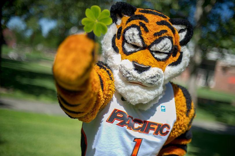 Our lucky charm. Happy St. Patrick’s Day, Tigers!