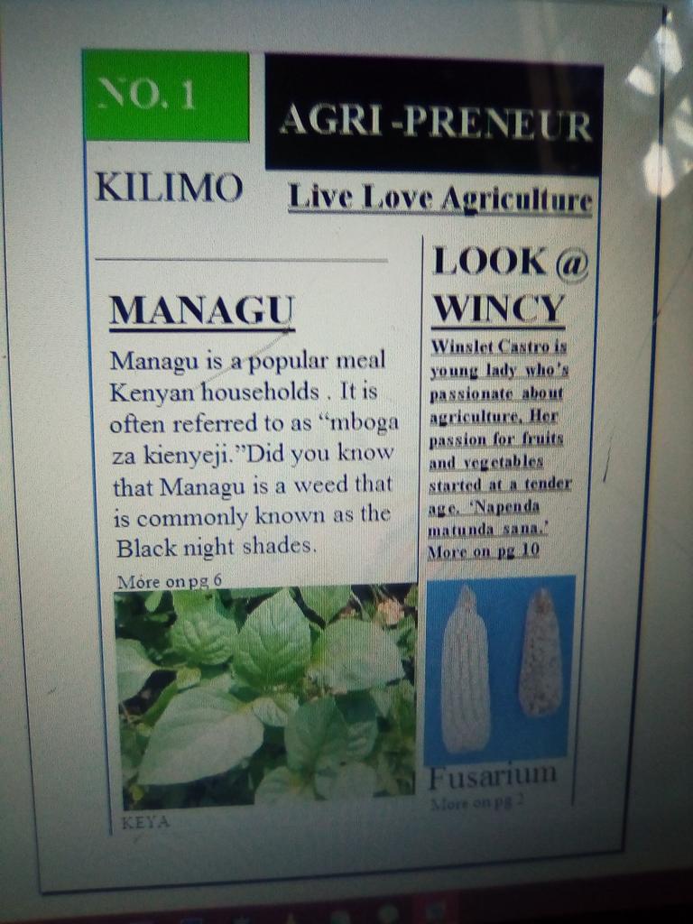 I design and come up with ideas. I love to write and impact.