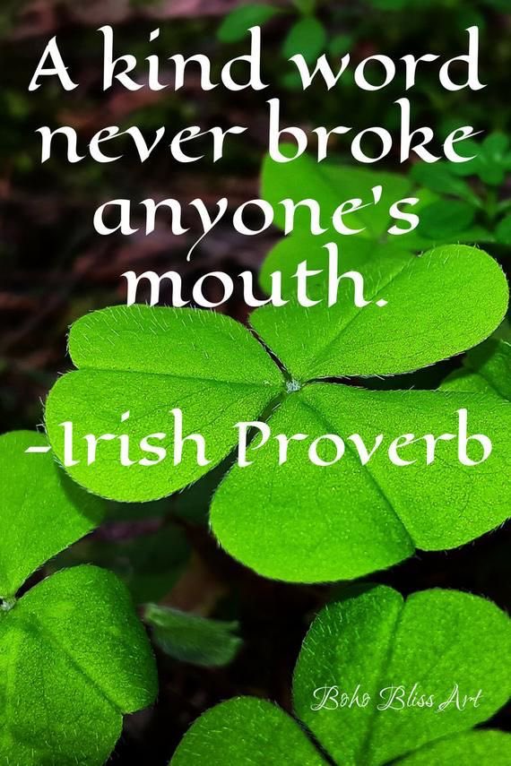 SkiWithChar's tweet photo. 🍀Happy Irish-ness Day, Tweeps!💚☘️
Here's hoping I'm lucky enough to be part of your #TweepsFamily now or in the near future! 💕
🤗#LoveIsColorBlind🤗🎨
🌈🤍Pls RT🤍#IFB https://t.co/QALylKR3Bo