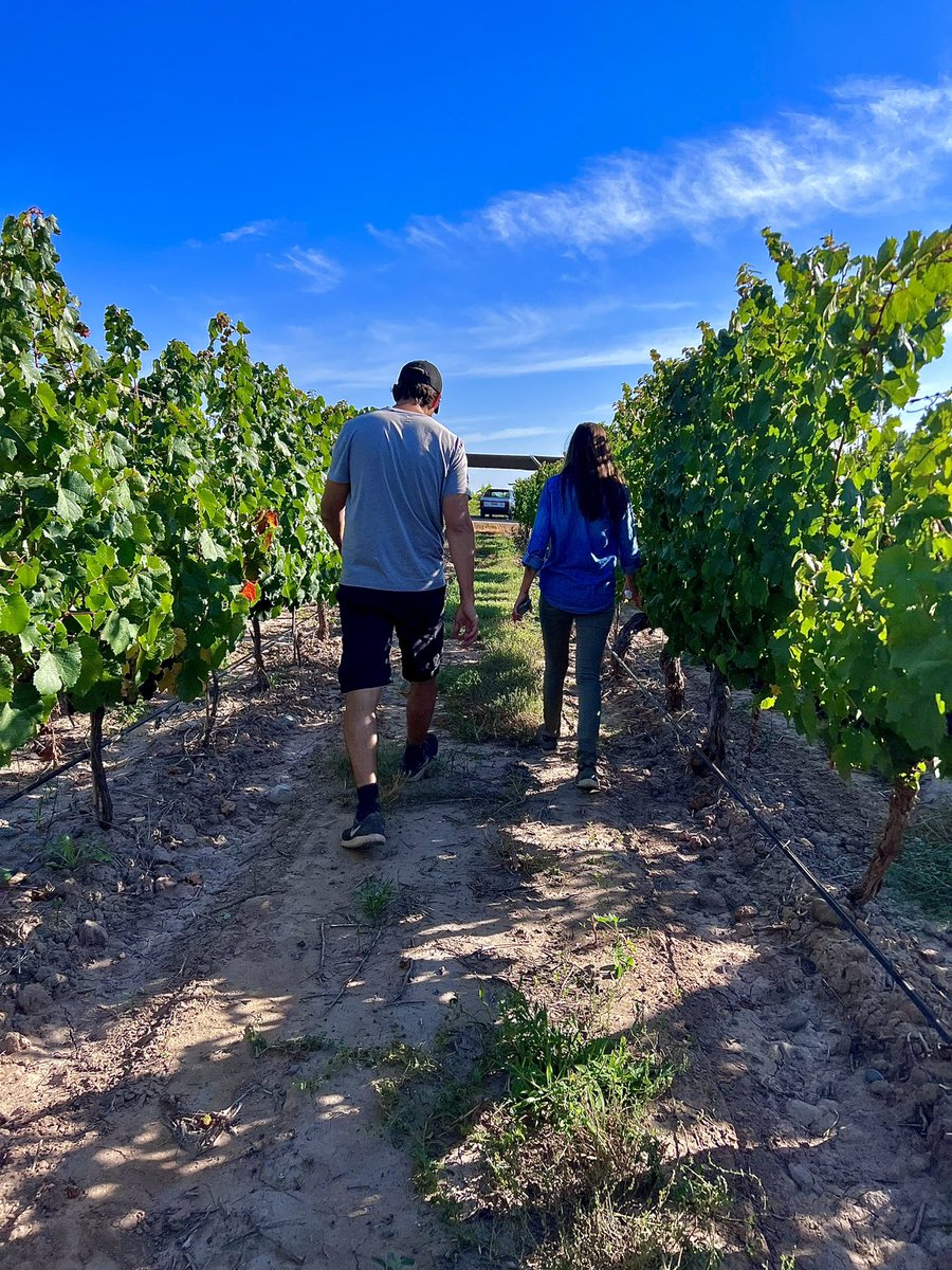 A pasos agigantados 🍷🍇 <a href="/aguushanna/">M. Agustina Hanna</a> <a href="/andresvignoni/">Andres Vignoni</a>