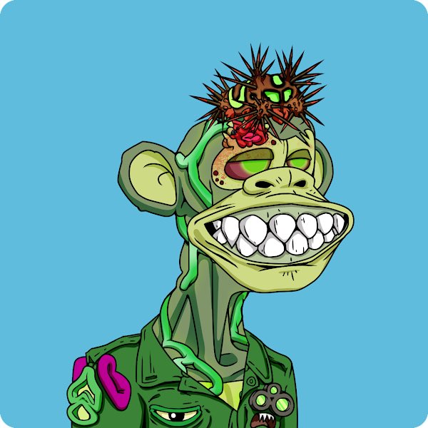 chirocrypto's tweet photo. $APEP legit about to giveaway @BoredApeYC Mutant Ape lolol

💎🦍🙏🏼

So badass bro https://t.co/U6GwNZof4h
