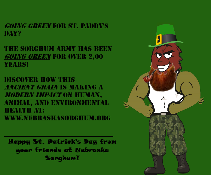 NESorghum's tweet photo. #stpaddysday #stpatricksday #sorghumarmy #nebraska #sorghum #sustainable #regenerativeag #healthyfood #water #soil #conservation #sorgho #sorgo #jowar #nongmo #glutenfree https://t.co/BGhEIglF76