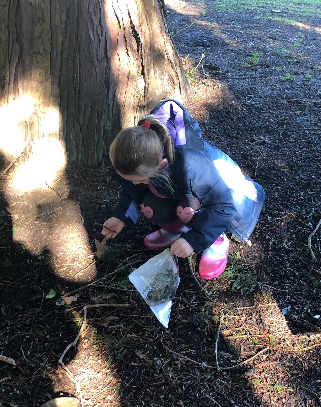 CarrdusYear1's tweet photo. We had a brilliant DT WOW morning planning, collecting natural materials, making and evaluating our miniature gardens #carrdusschool https://t.co/YWAH6sFGaG