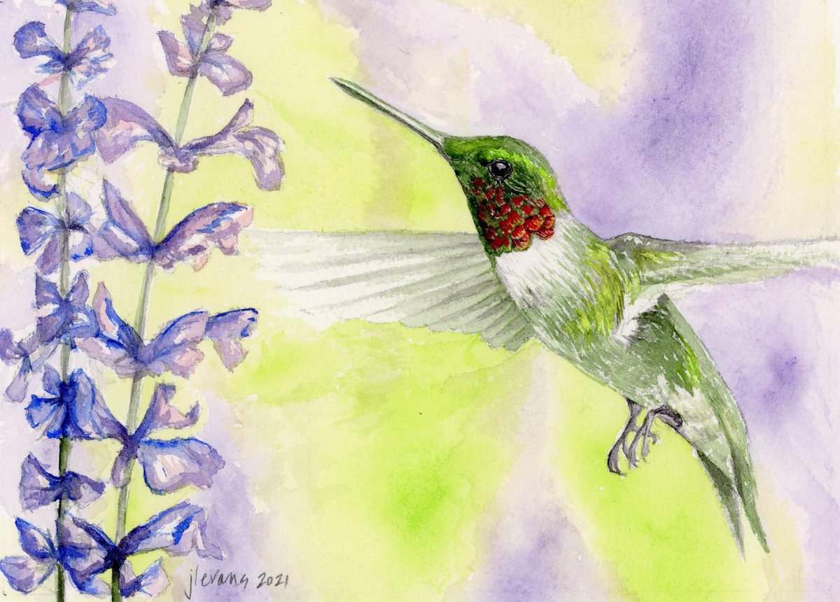 JessEvans915's tweet photo. Posting green things for #StPatricksDay
I painted this watercolor of a mostly green ruby-throated hummingbird for a friend for her birthday. #green #hummingbird https://t.co/EjFDO6i7Au
