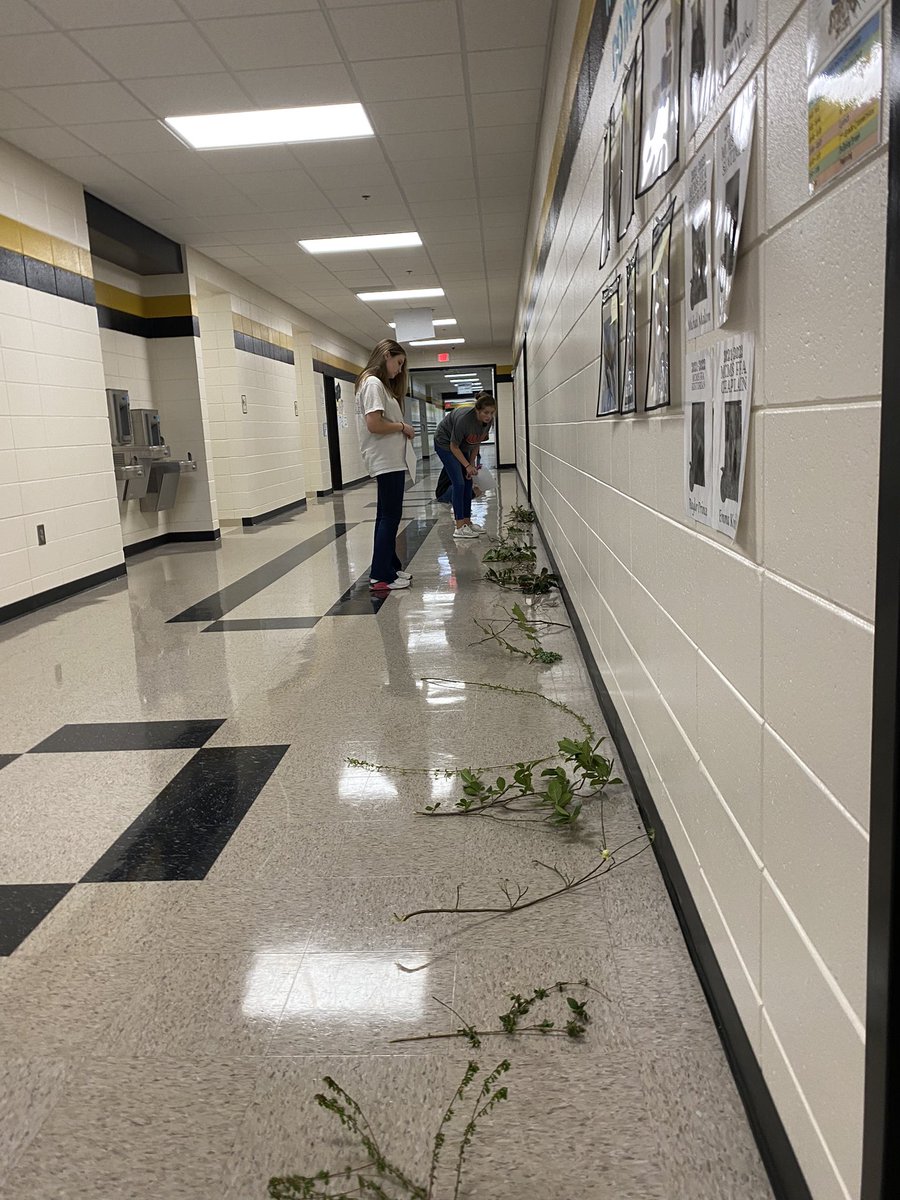with_alexander's tweet photo. State nursery practice during class #teachag #tagged #mcmsffa #monroeffa https://t.co/Qu85Vxn9Ey